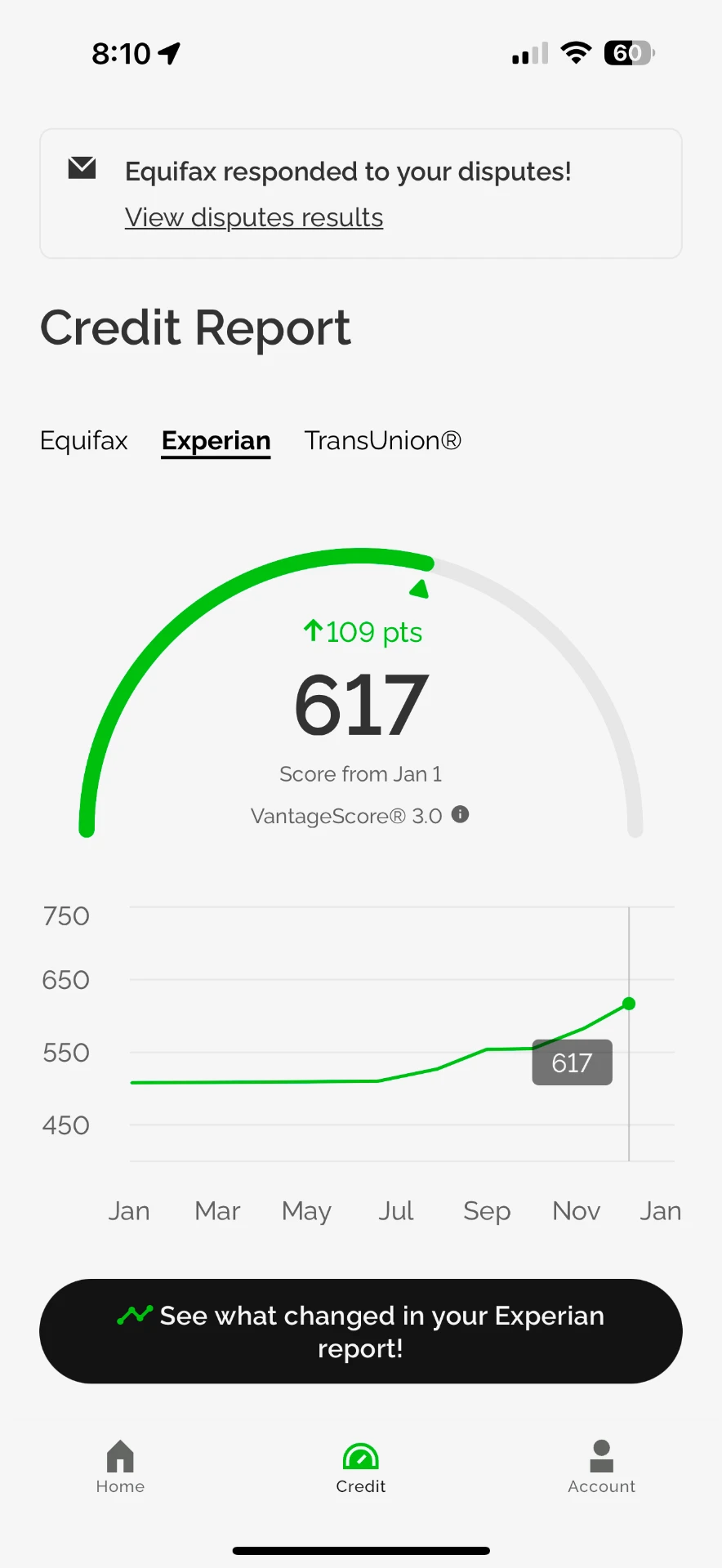 Client credit report showing a 617 score, up 109 points, with bureau responses to disputes